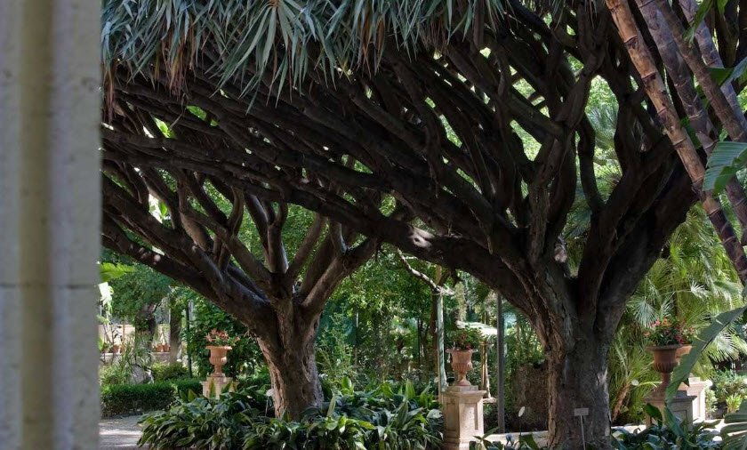 Orto Botanico di Catania , Italy